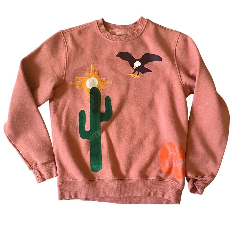 ROKUSTUDIO Stay Wild Desert Graphic Sweatshirt Rust Pink Men Medium Cactus Eagle